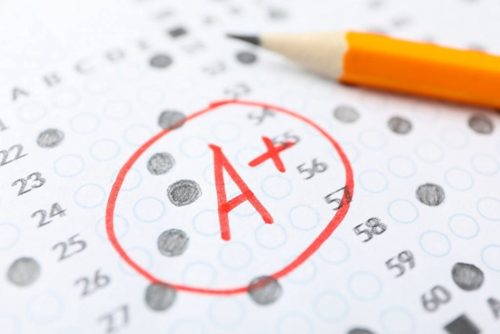 Learn ways to Obtain Good Grades in your Assignments